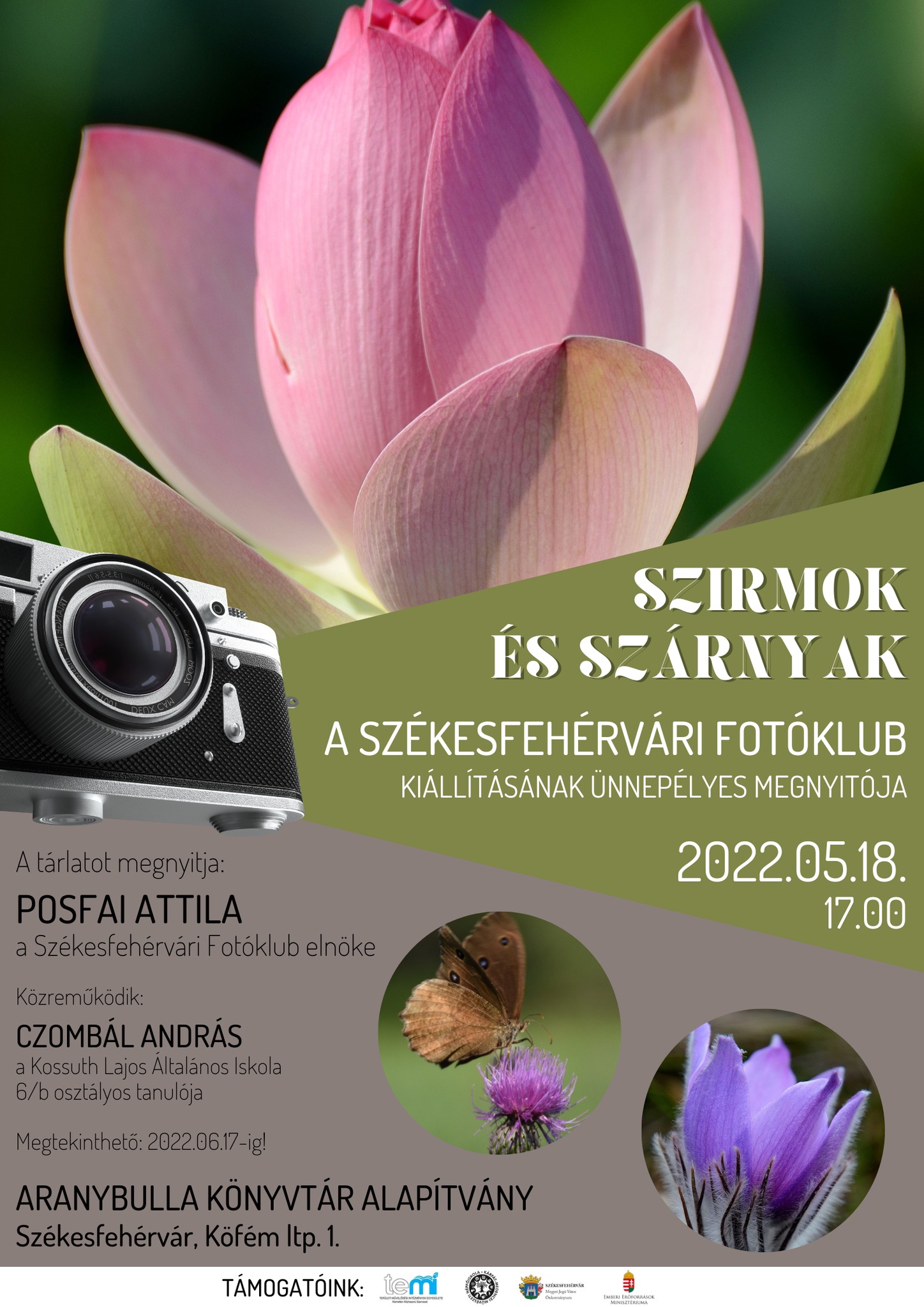 Szirmok és szárnyak – kiállítás nyílik a Székesfehérvári Fotóklub munkáiból az Aranybulla Könyvtárban